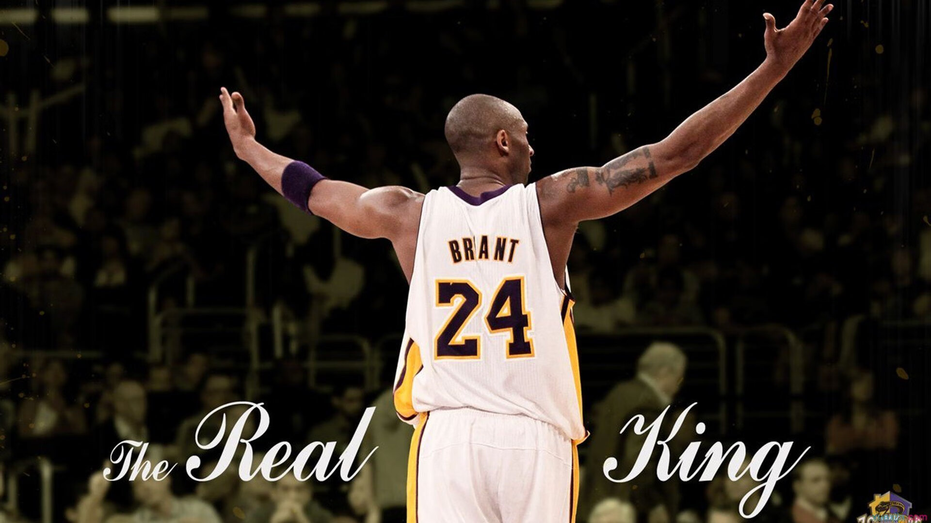 “武汉马拉松赛：从起点到终点，挑战极限！”